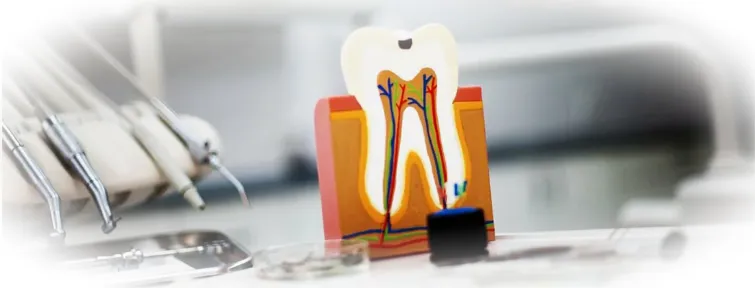 Современная стоматология: виды услуг, преимущества обращения к профессионалам
