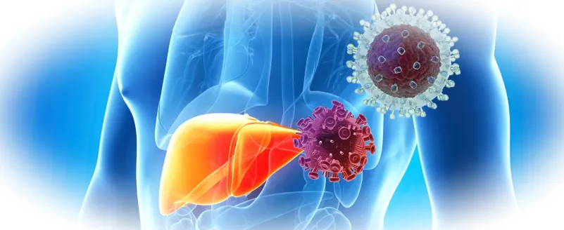 Печень и гепатит: понимание, виды, лечение