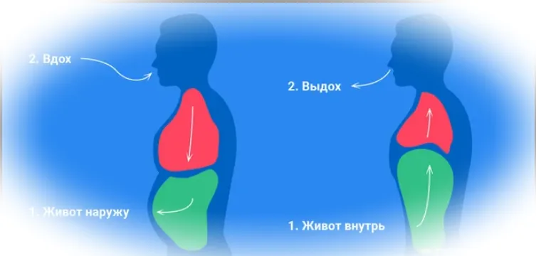  Дыхание через диафрагму (брюшное дыхание)