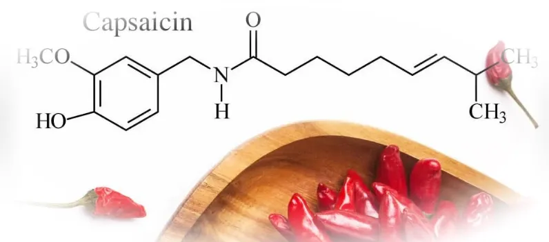 Капсаицин - что это такое, какими свойствами он обладает